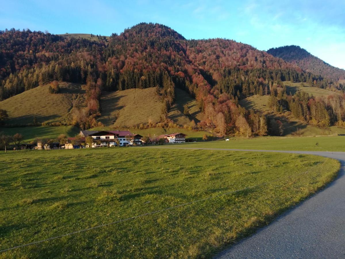 Bio- Bauernhof Obermaurach Lejlighed Walchsee Eksteriør billede