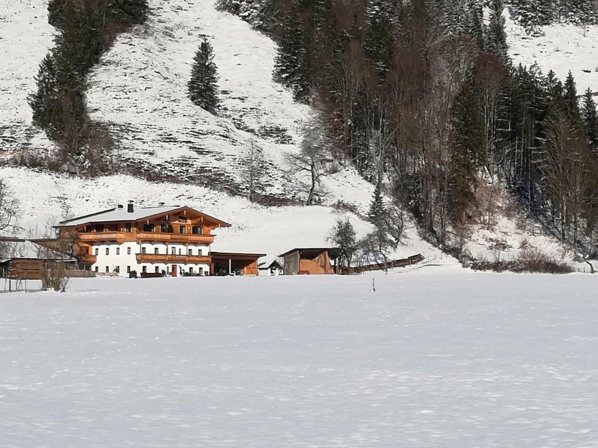 Bio- Bauernhof Obermaurach Lejlighed Walchsee Eksteriør billede